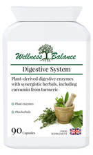 Digestive Enzymes Colon